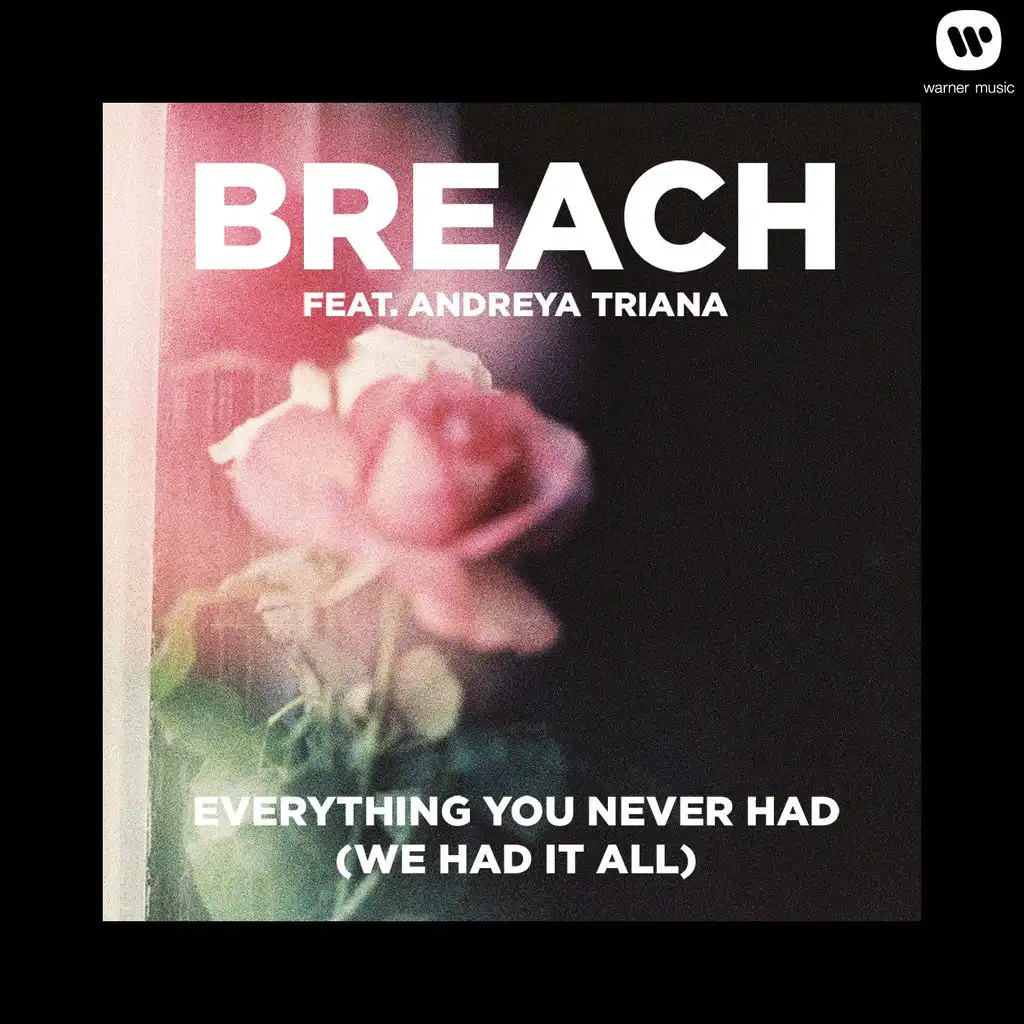 Everything You Never Had (We Had It All) (feat. Andreya Triana)