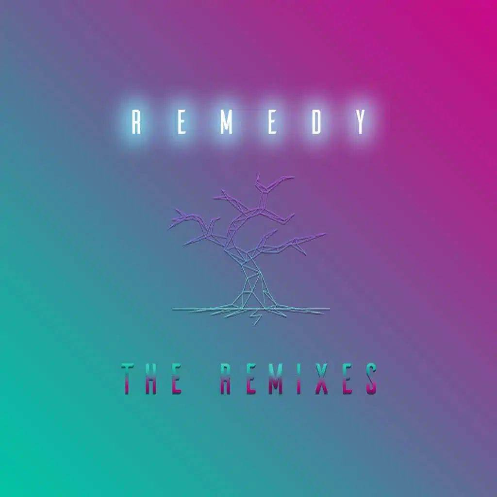 Remedy: The Remixes