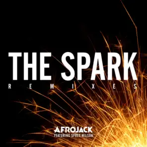 The Spark (Tetsuya Komuro Remix) [feat. Spree Wilson]