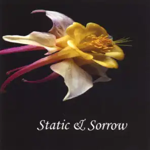 Static & Sorrow