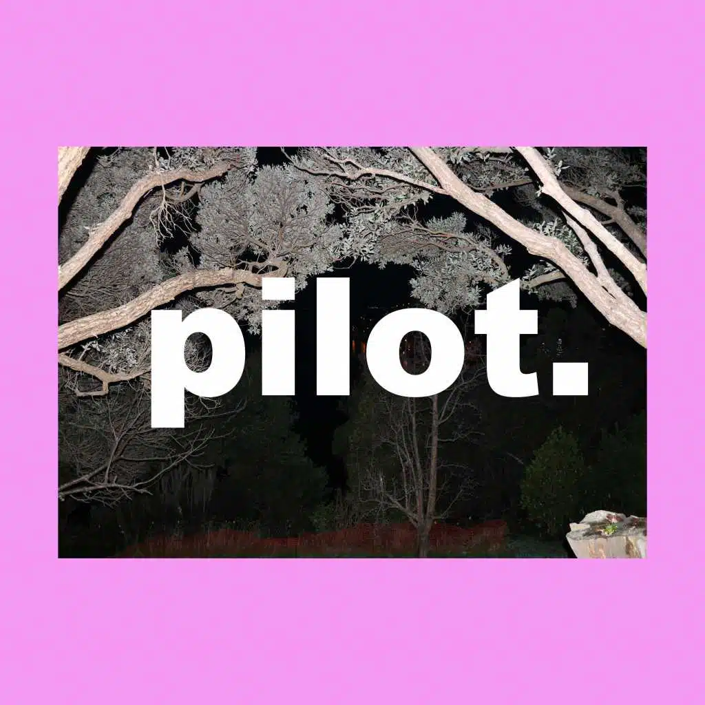 Pilot.
