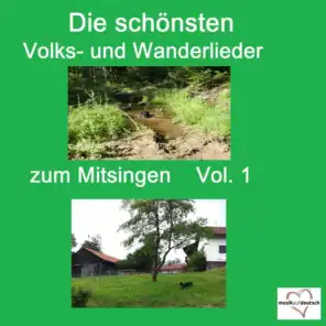 Top 30: Die schönsten Volks- Und Wanderlieder zum Mitsingen, Vol. 1