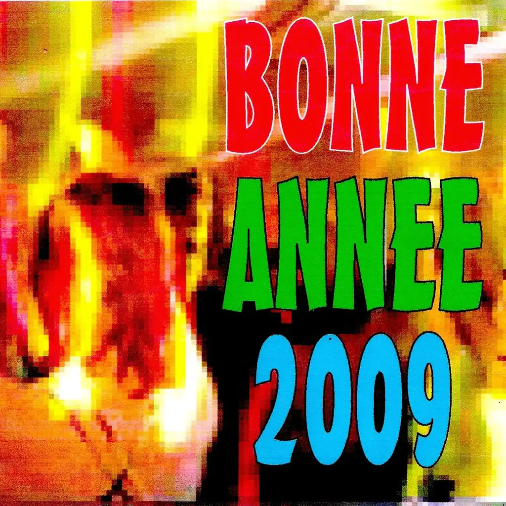 Bonne Année 2009