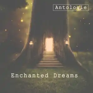 Enchanted Dreams