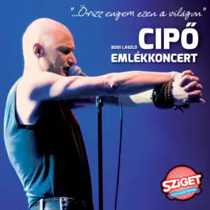 Bódi László Cipő Emlékkoncert (Live at Sziget / 2013)