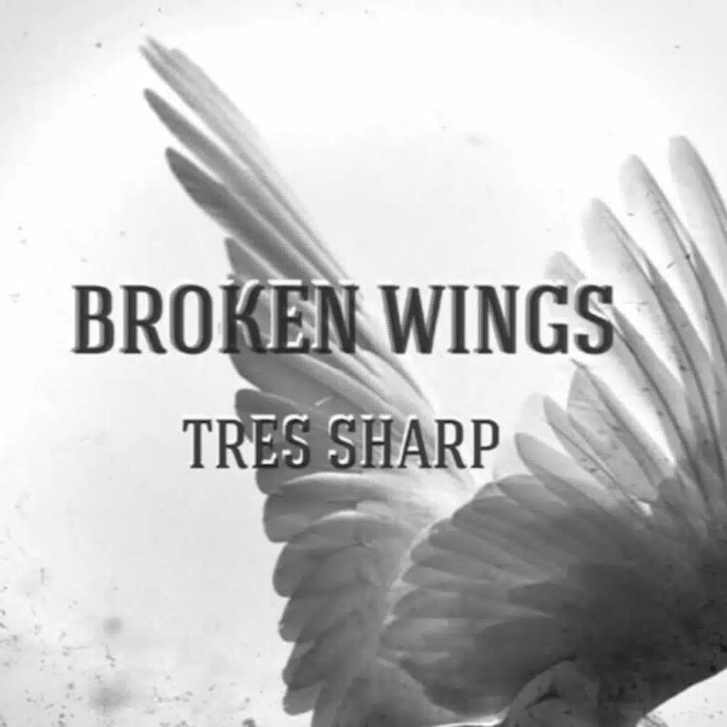 Broken wings. Tres sharp broken wings. Брокен вингс оверджайвер. Broken wings фильм 2016. Broken wings deven coleman перевод.