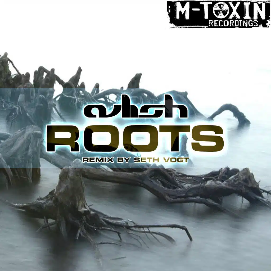 Roots (Seth Vogt Remix)