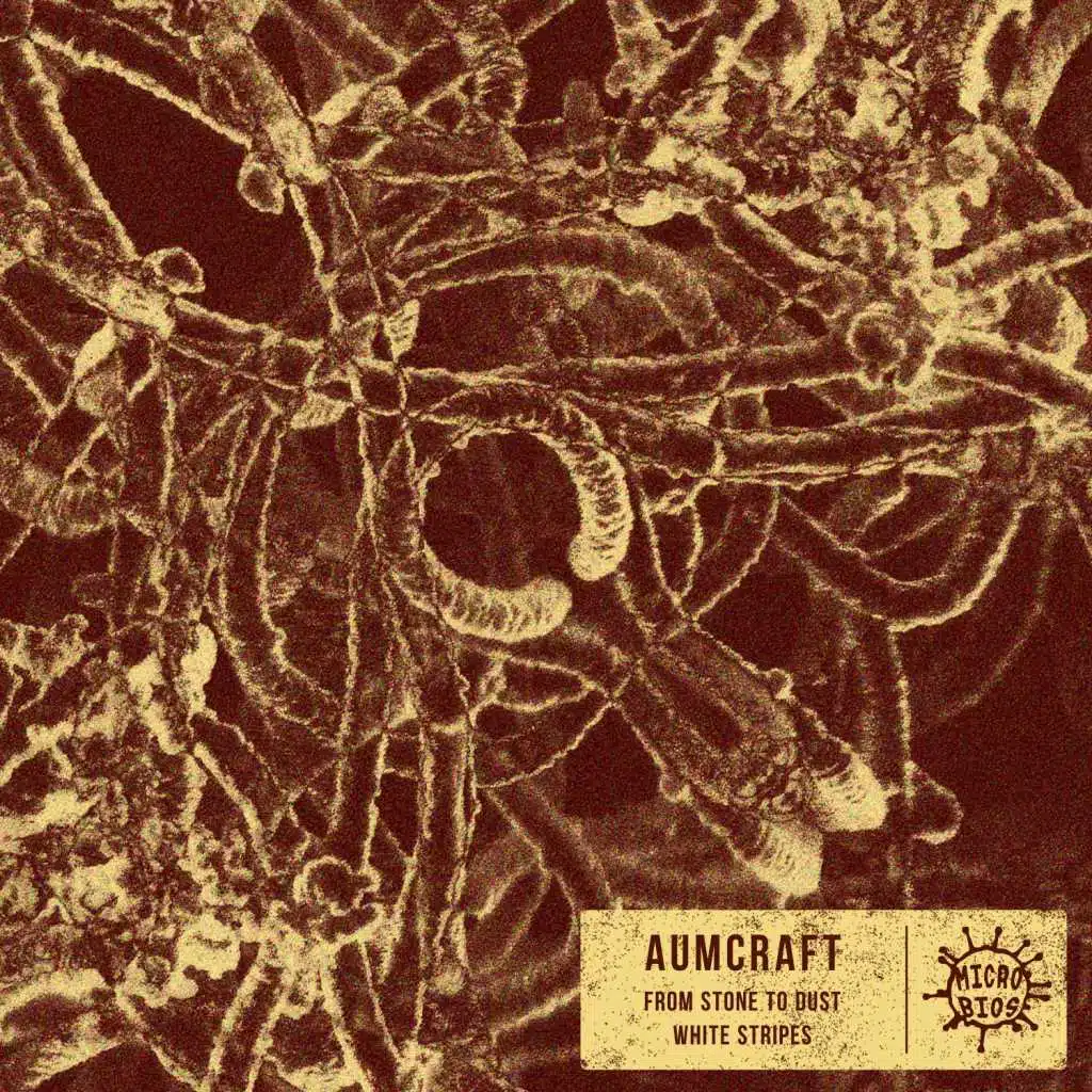 From Stone to Dust / White Stripes