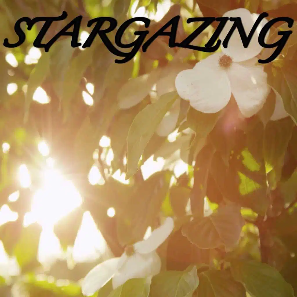 Stargazing / Tribute to Travis Scott
