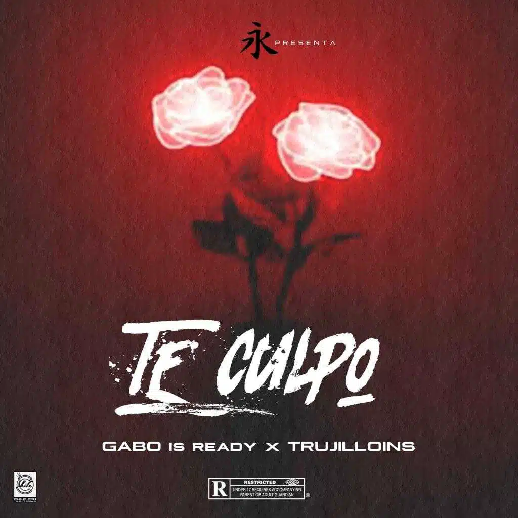 Te Culpo (feat. Trujilloins)