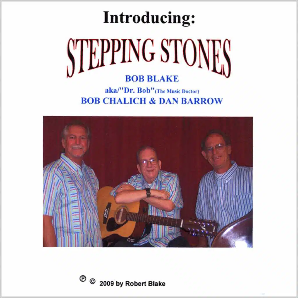 Introducing: Stepping Stones