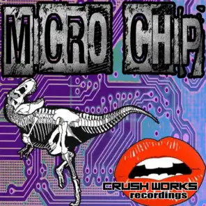 Micro Chip EP