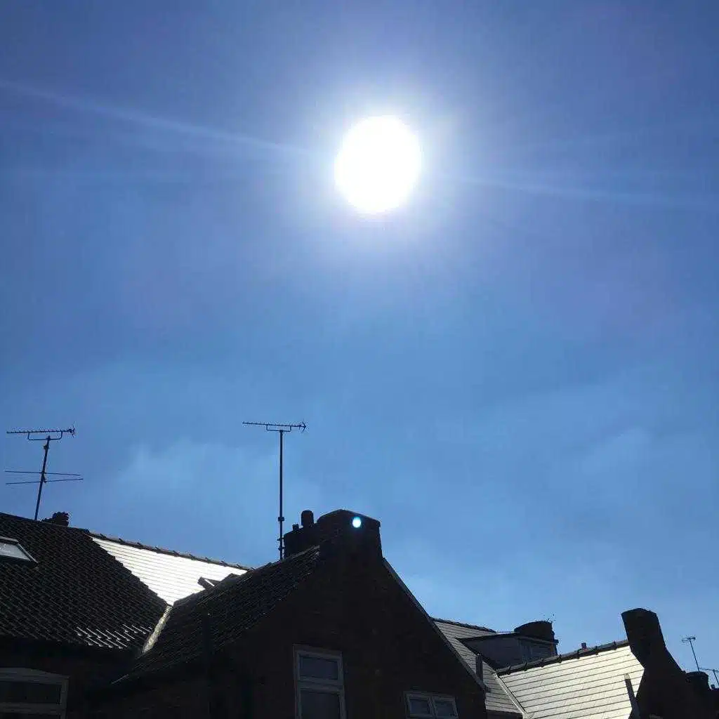 Water Fountain Seagulls
