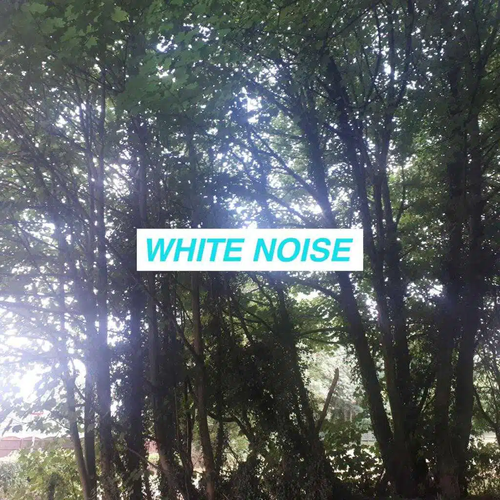 White Noise Sampler: Big White Noise Mix