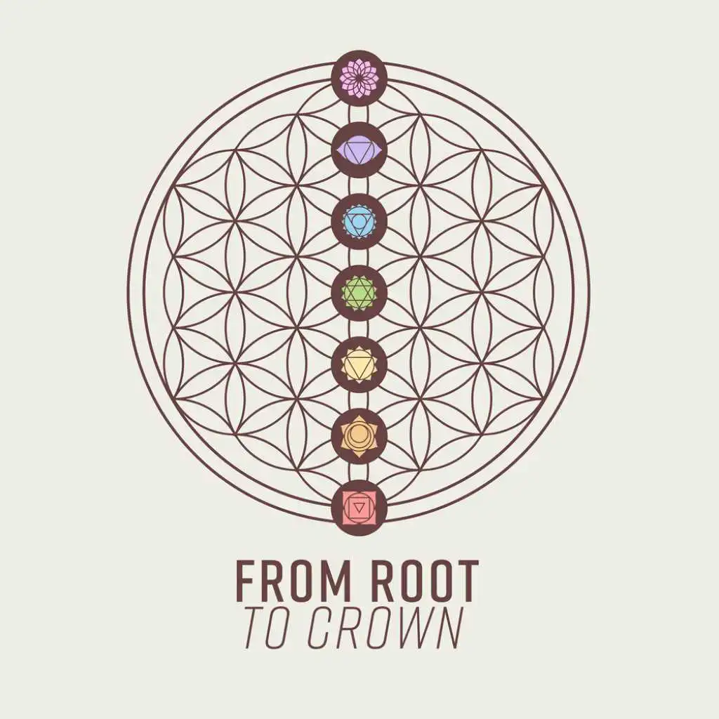 From Root to Crown