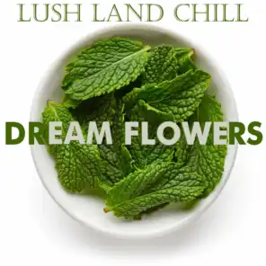 Lush Land : Dream Flowers