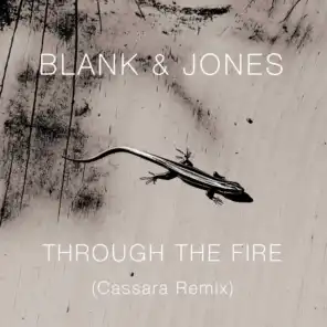 Through the Fire (Cassara Extended Remix)