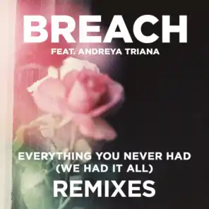Everything You Never Had (We Had It All) (feat. Andreya Triana) [Remix Package]
