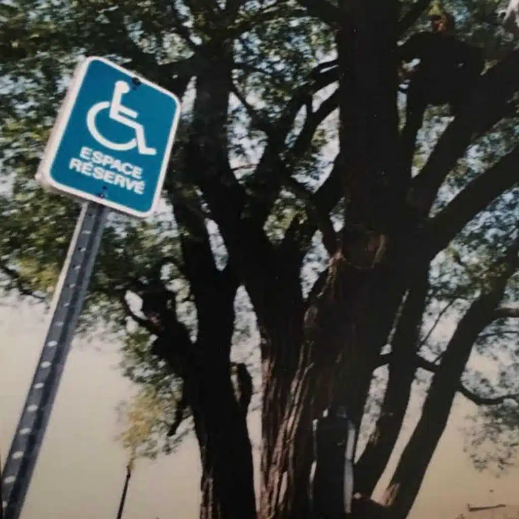 We'll Make It Through the Storm / Cellar Door