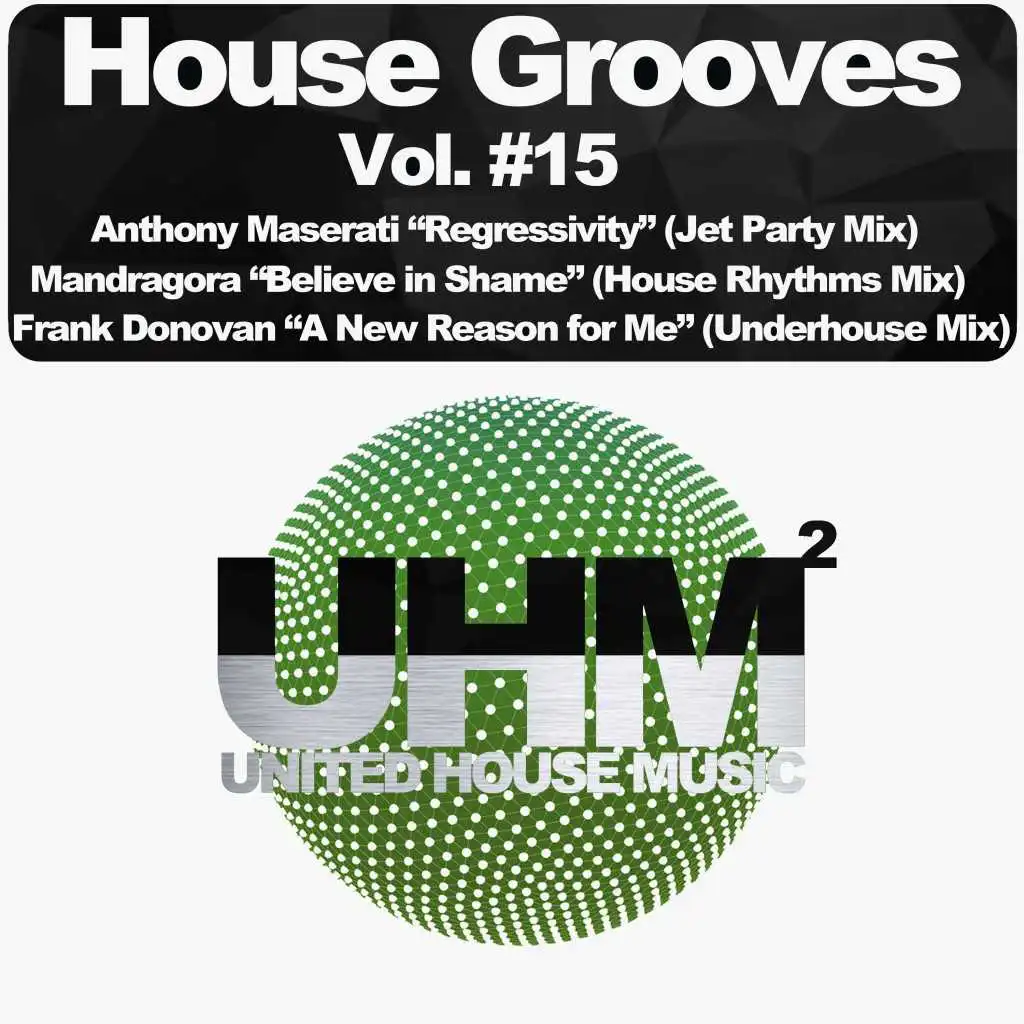 House Grooves, Vol. 15