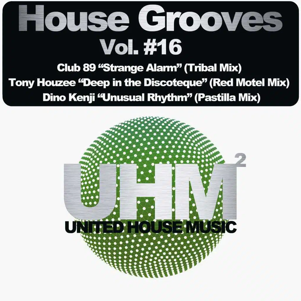 House Grooves, Vol. 16