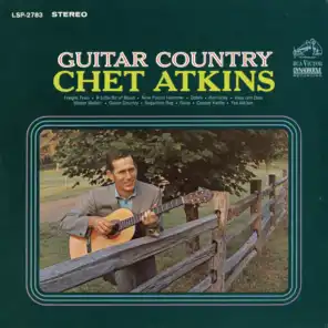 Guitar Country