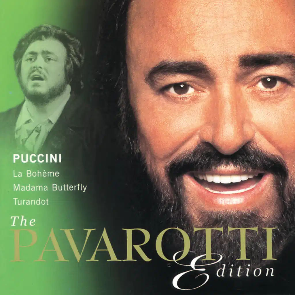 Puccini: Turandot, Act III: Che è mai di me?