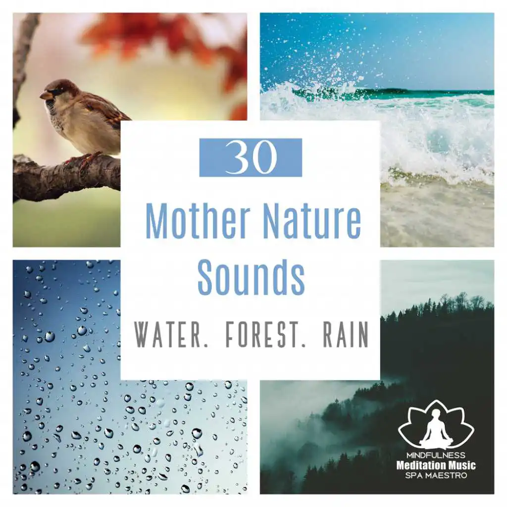 30 Mother Nature Sounds