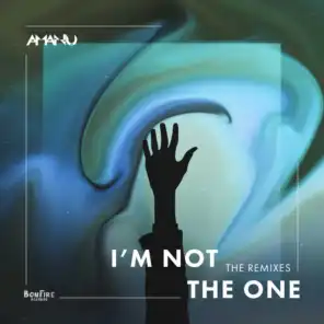 I'm Not the One (Nikas Remix)