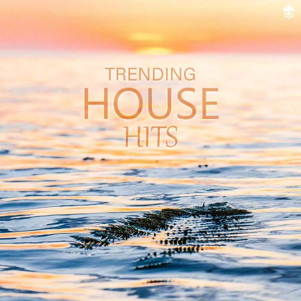 Trending House Hits