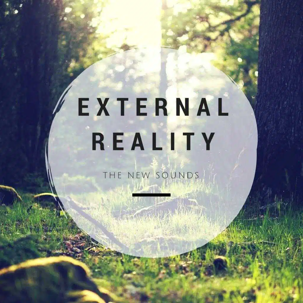 External Reality