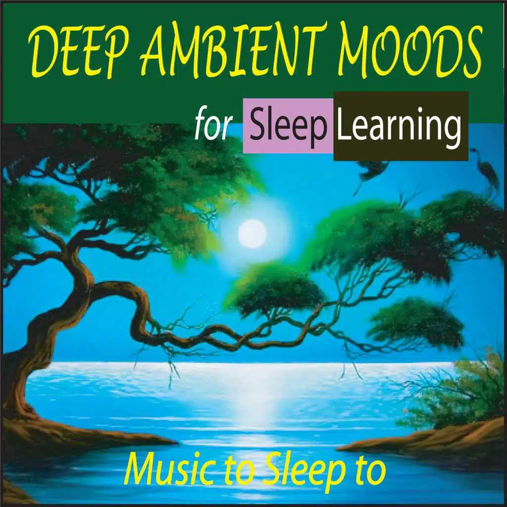 Deep Ambient Moods for Sleep Learning: Music to Sleep To