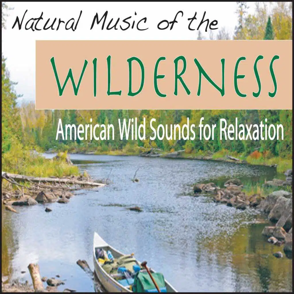 Relaxing Wilderness Stream