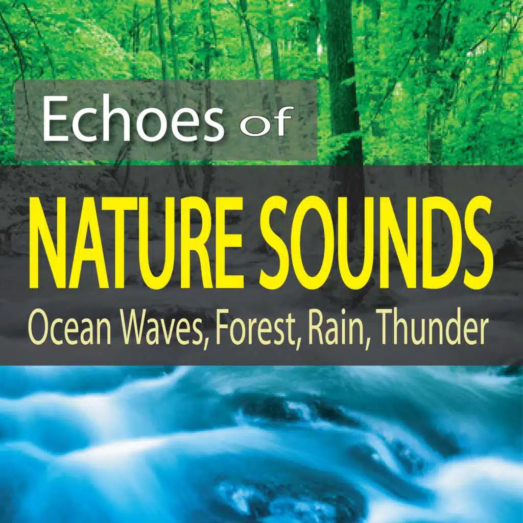 Thunder Sounds with Soft Rain