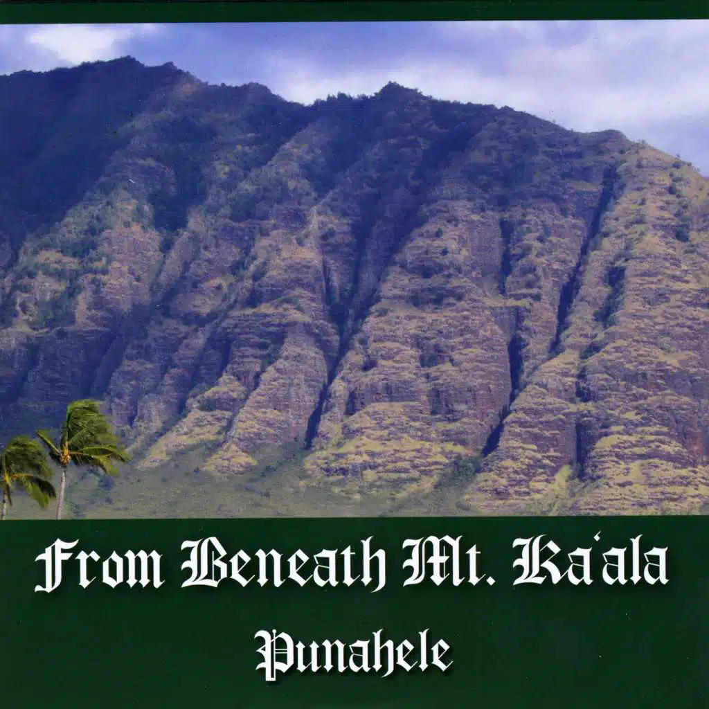 From Beneath Mt. Ka'ala