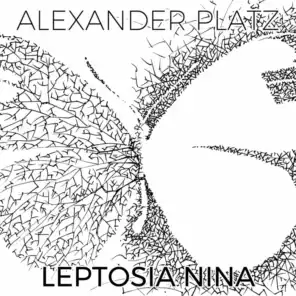 Leptosia Nina