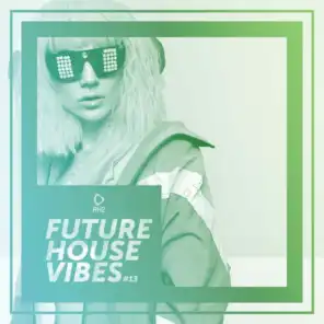 Future House Vibes, Vol. 13