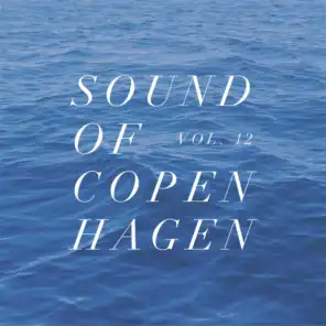 Sound Of Copenhagen Vol. 12