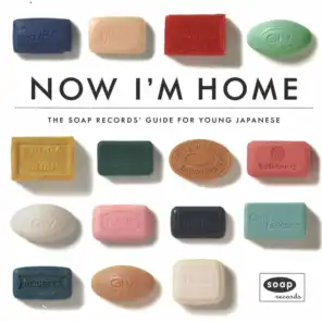 Now I'm Home - The Soap Records Guide