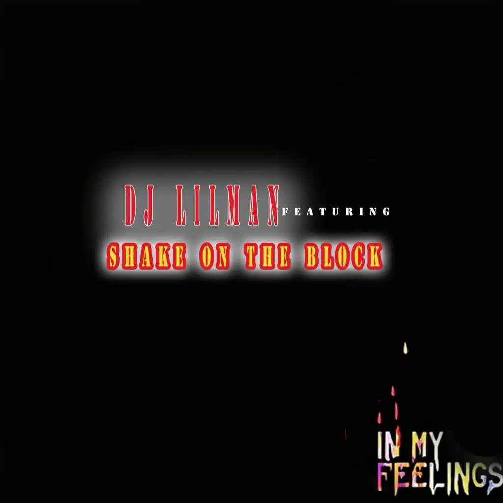 In My Feelings (feat. Shake On The Block)