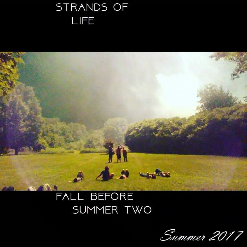 Fall Before Summer 2