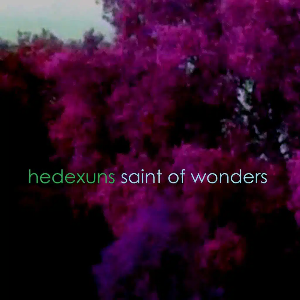 Saint of Wonders