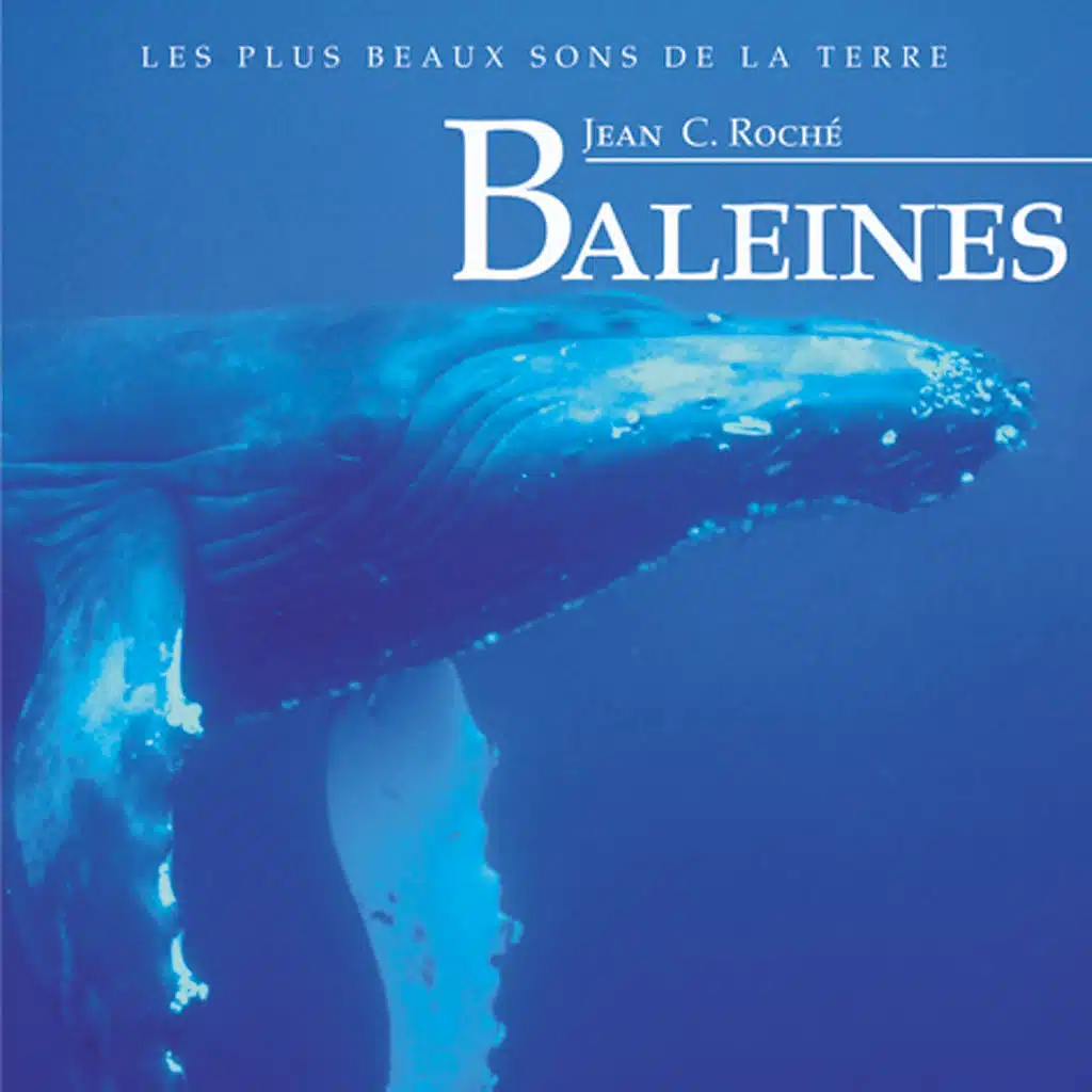 Baleines