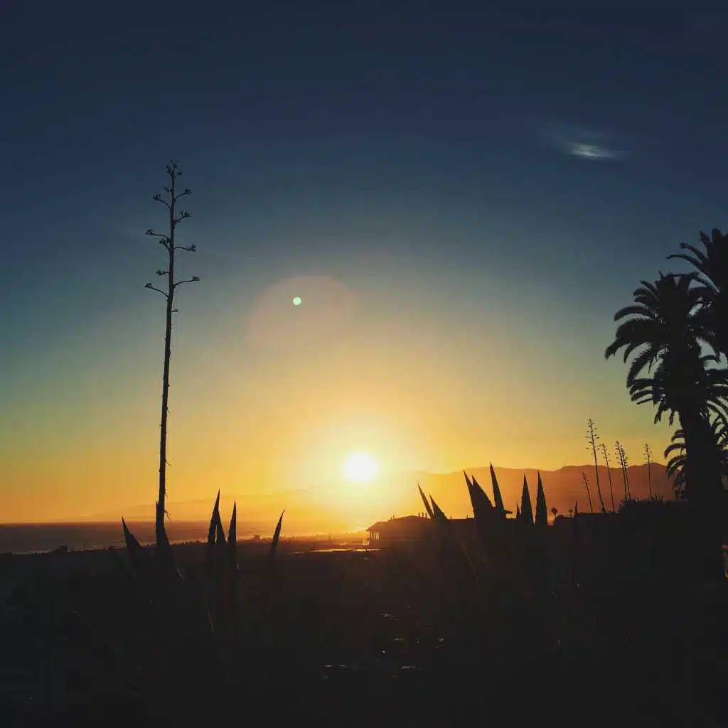 We Were in California for the Summer