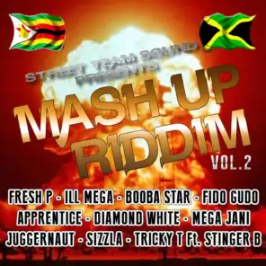 Mash Up Riddim, Vol. 2 - Street Team Sound Presents