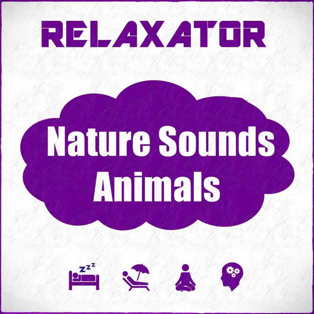 Sparrows Sounds