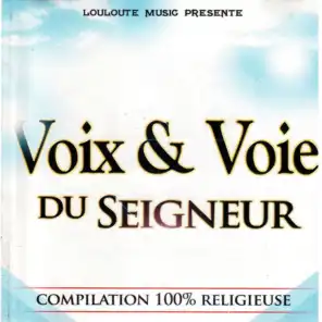 Voix & voie du Seigneur, vol. 1 - Compilation 100% religieuse