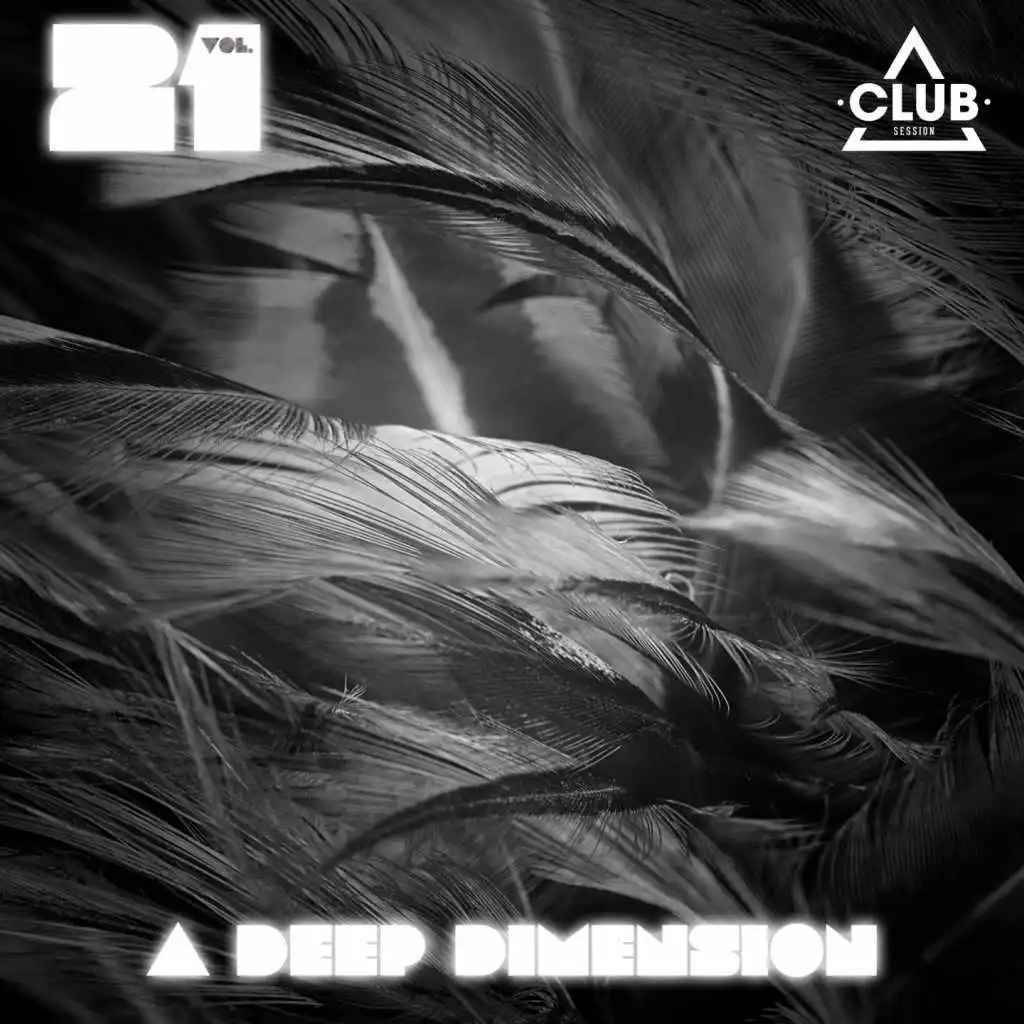 A Deep Dimension, Vol. 21