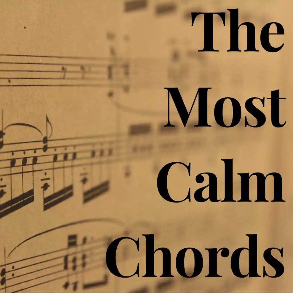 The Most Calm Chords