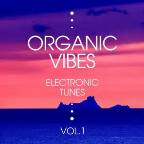 Organic Vibes (Electronic Tunes), Vol. 1